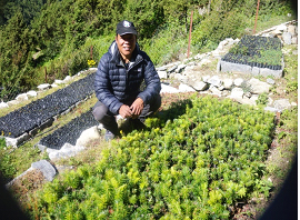 ONE DAY ONE TREE PROJECT IN SAGARMATHA NATIONAL PARK AND BUFFER ZONE, SOLUKHUMBU DISTRICT