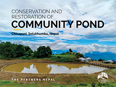 Community Pond Report